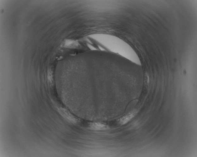 X0000081470380200702092346