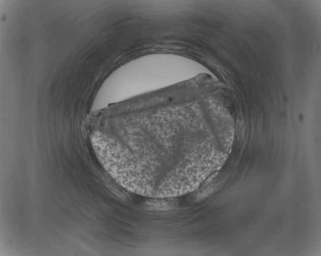 X0000081470381200702092346