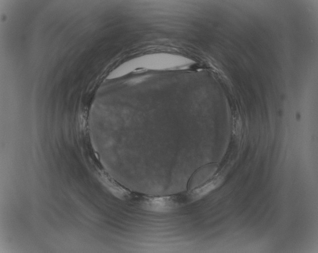 X0000081470382200702092346