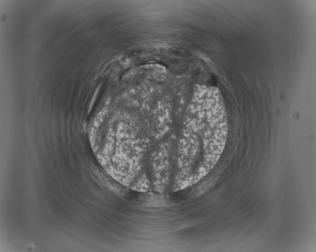 X0000081470384200702092346