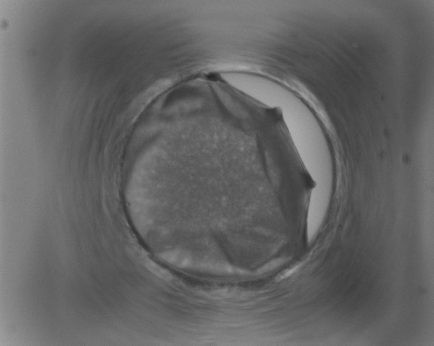 X0000081470385200702092345