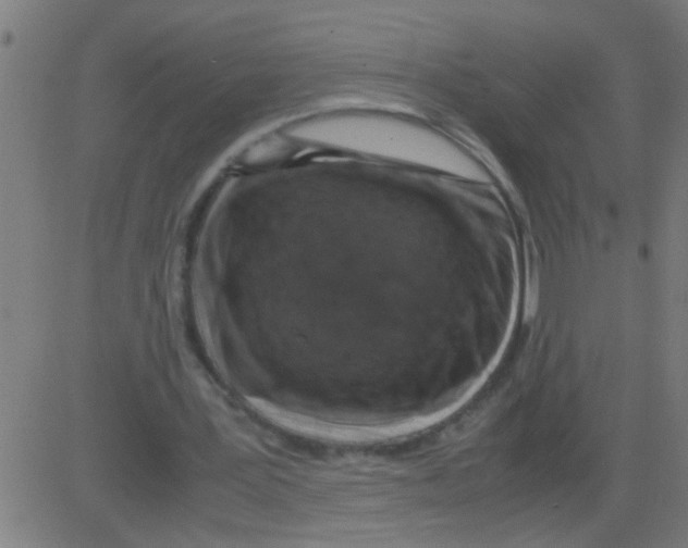 X0000081470387200702092345