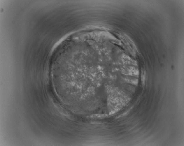 X0000081470388200702092345