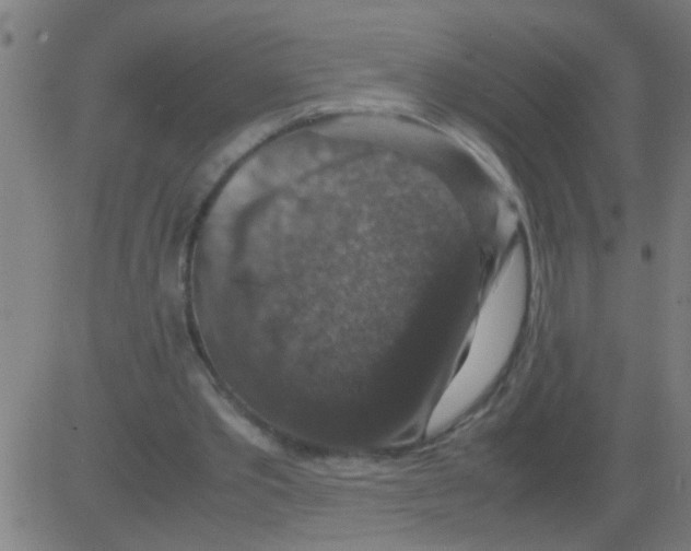 X0000081470389200702092345