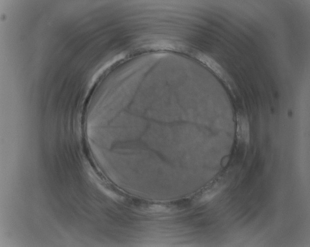 X0000081470390200702092345