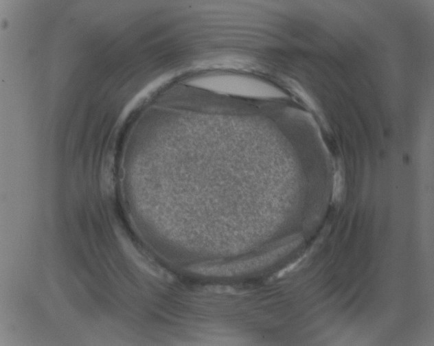 X0000081470392200702092345