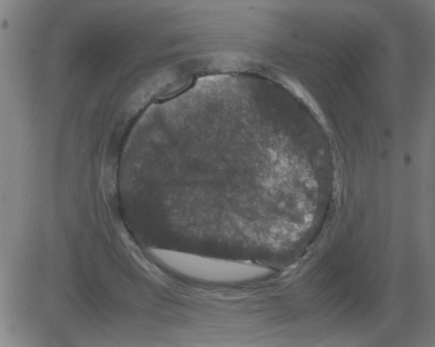 X0000081470393200702092345