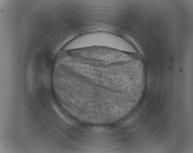 X0000081470394200702092345