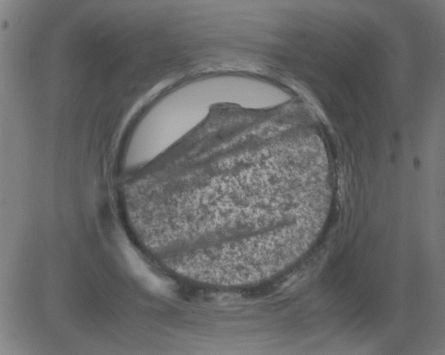 X0000081470395200702092345