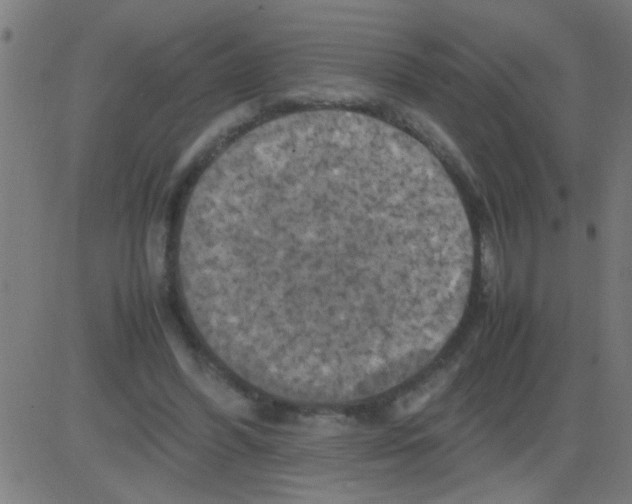 X0000081470396200702092345