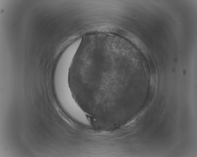 X0000081470397200702092345