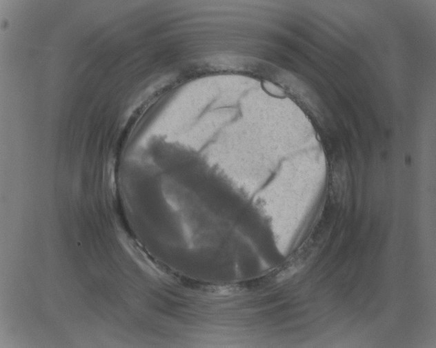 X0000081470398200702092345