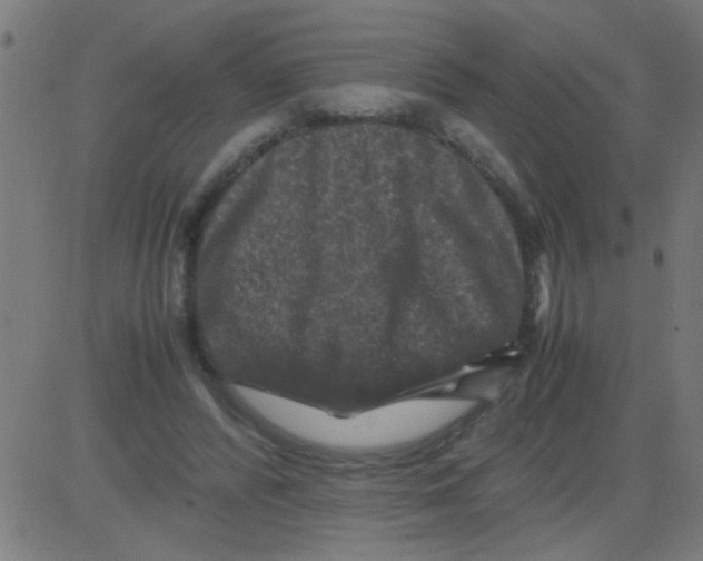 X0000081470400200702092345