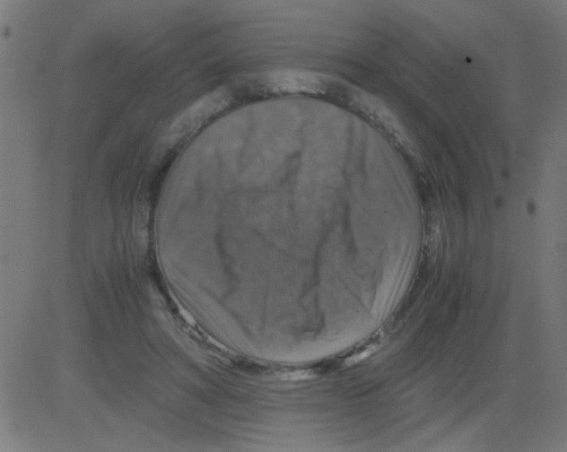 X0000081470402200702092345