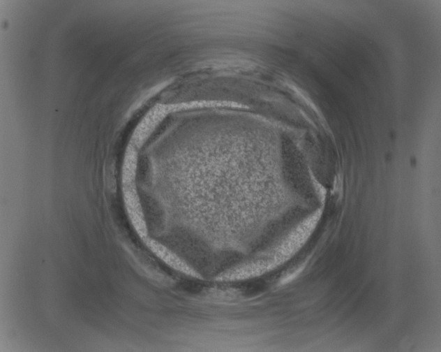 X0000081470403200702092345