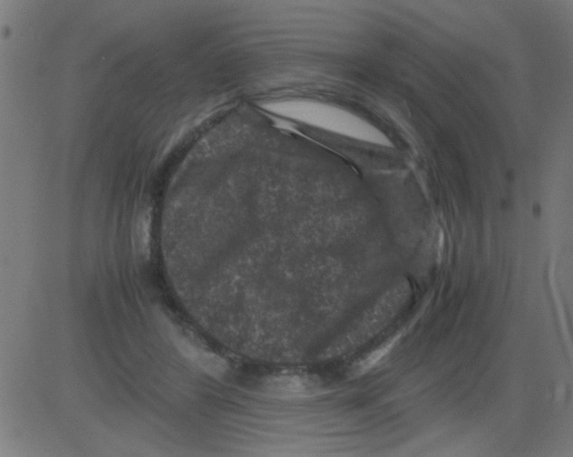 X0000081470404200702092345