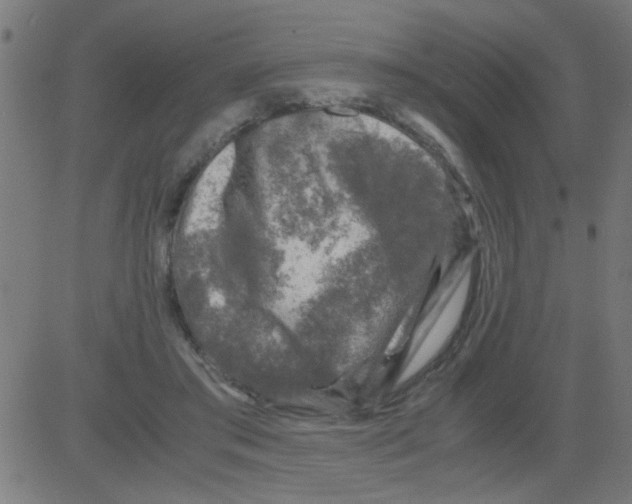 X0000081470405200702092345