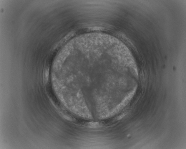 X0000081470406200702092345