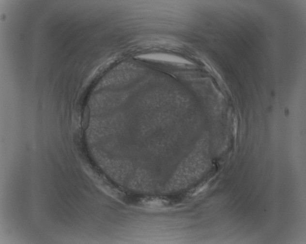 X0000081470407200702092345