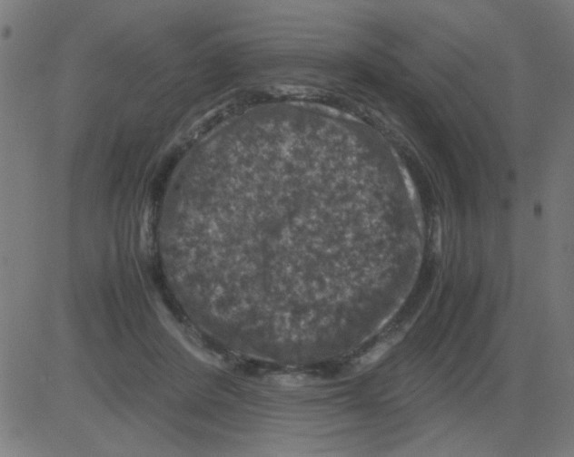 X0000081470408200702092345