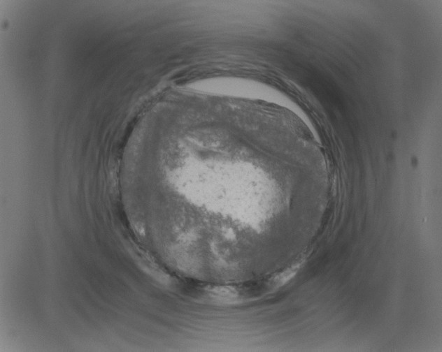 X0000081470409200702092345