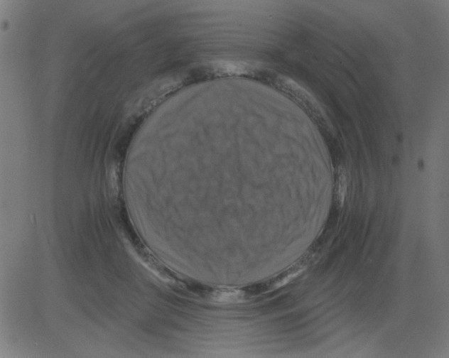 X0000081470410200702092345