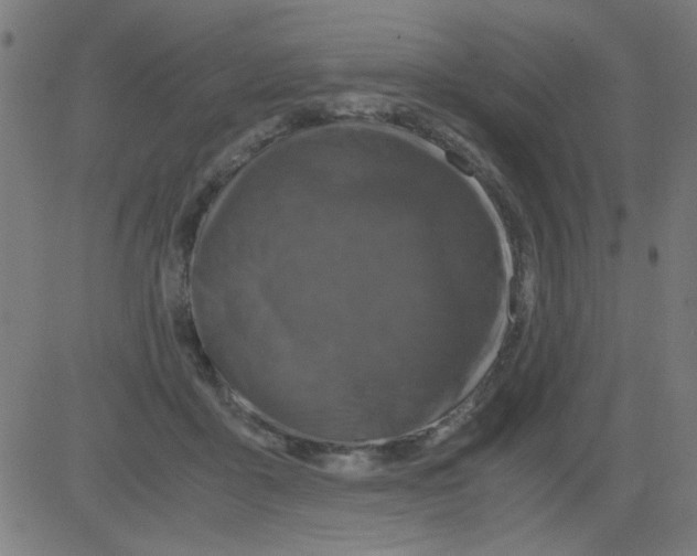 X0000081470411200702092345