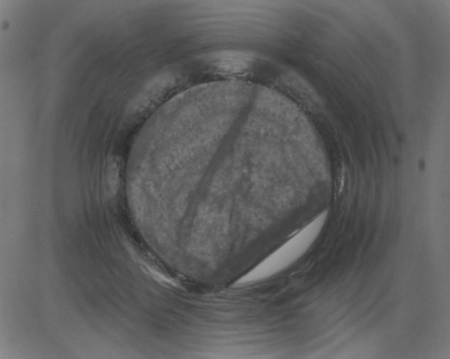 X0000081470412200702092345