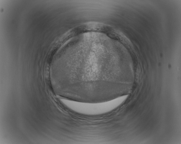 X0000081470413200702092345