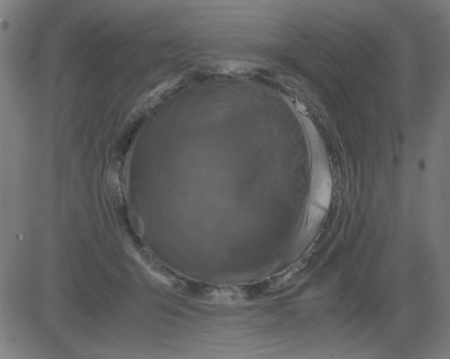 X0000081470415200702092345