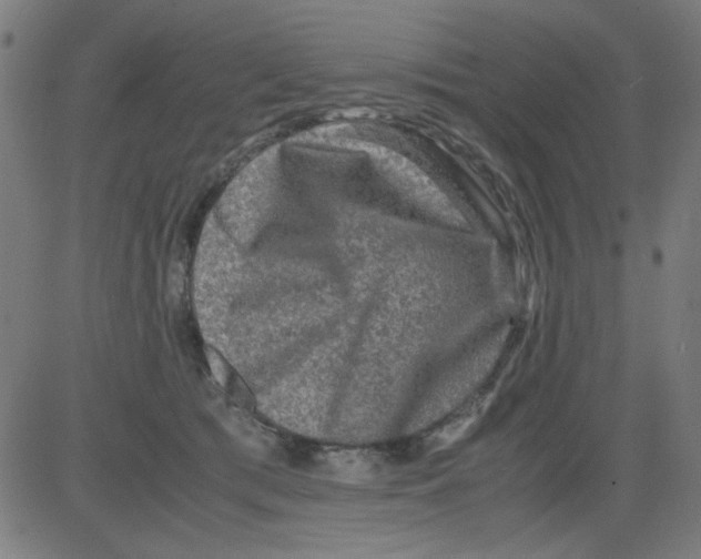 X0000081470417200702092345