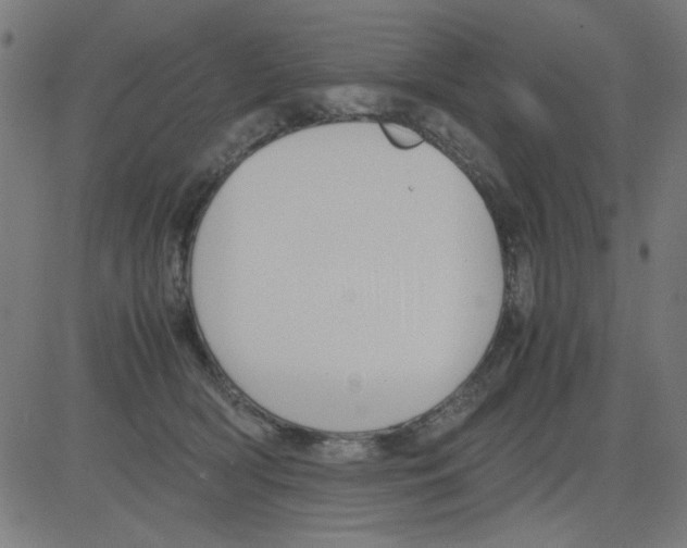 X0000081470418200702092345