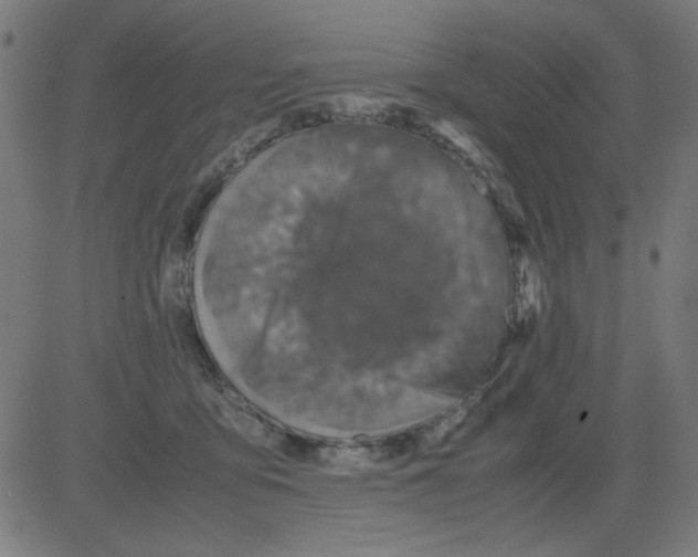 X0000081470419200702092345