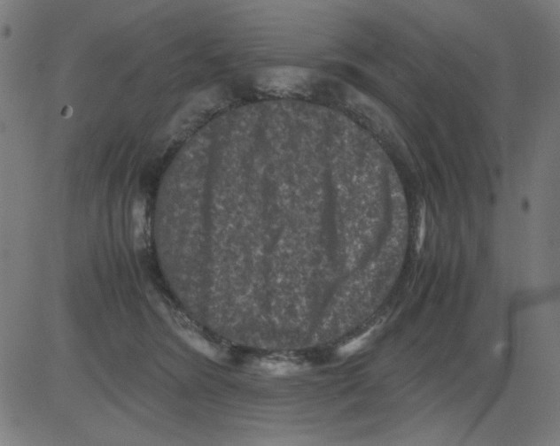 X0000081470420200702092345