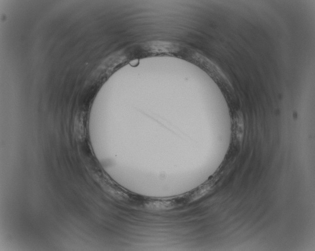 X0000081470422200702092345