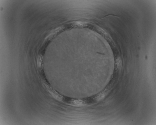 X0000081470423200702092345