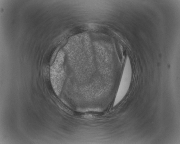 X0000081470425200702092344