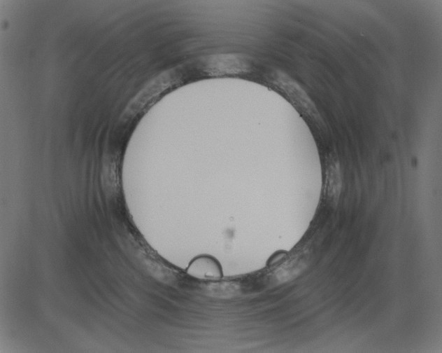 X0000081470426200702092344