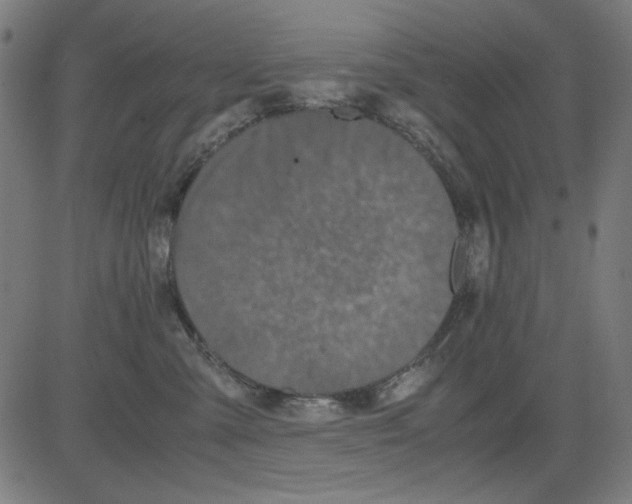 X0000081470427200702092344