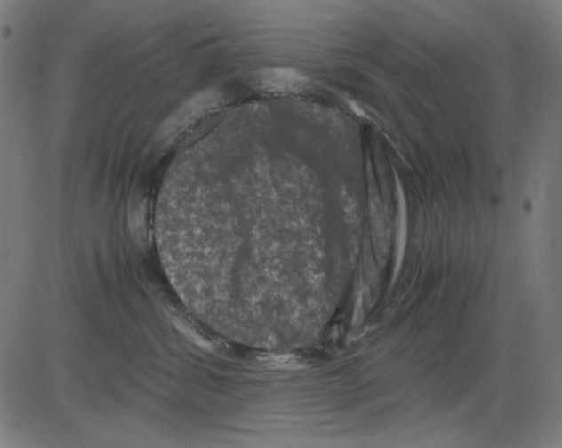 X0000081470428200702092344