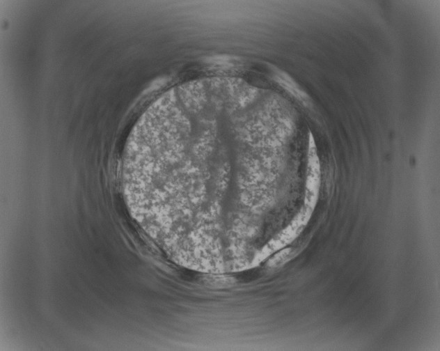 X0000081470429200702092344