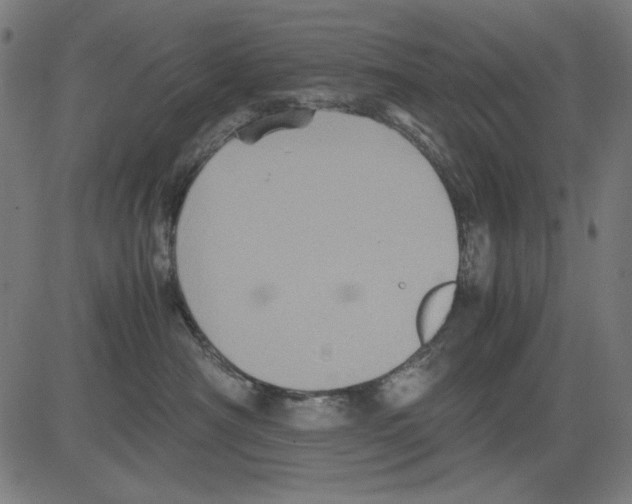 X0000081470430200702092344