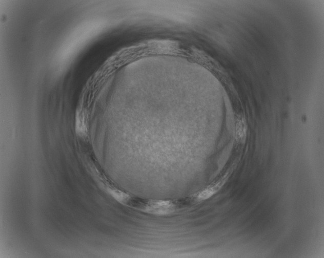 X0000081470431200702092344