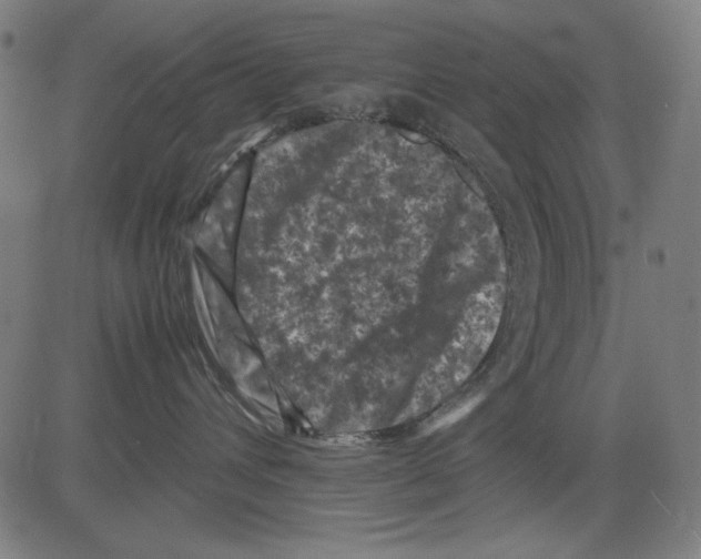 X0000081470432200702092344