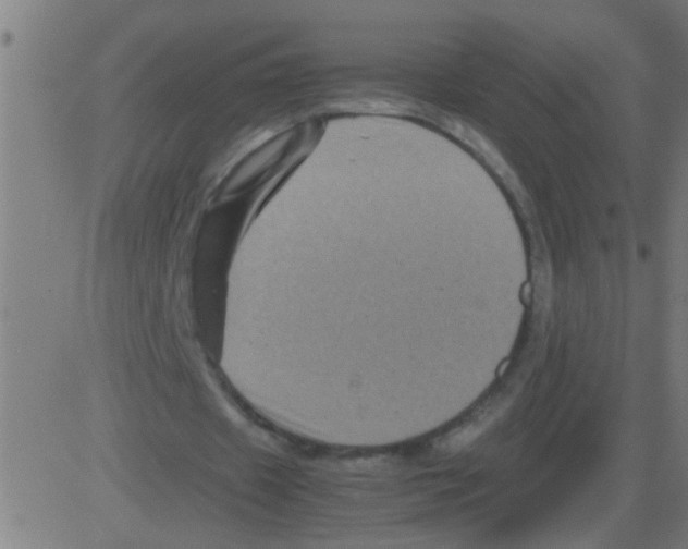 X0000081470433200702092344