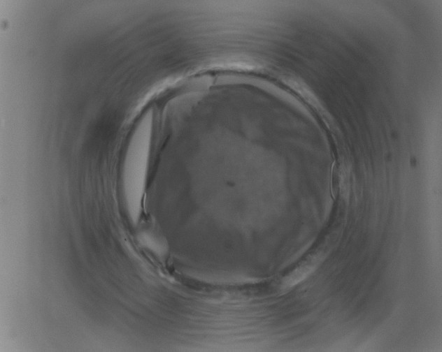 X0000081470434200702092344