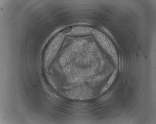 X0000081470435200702092344