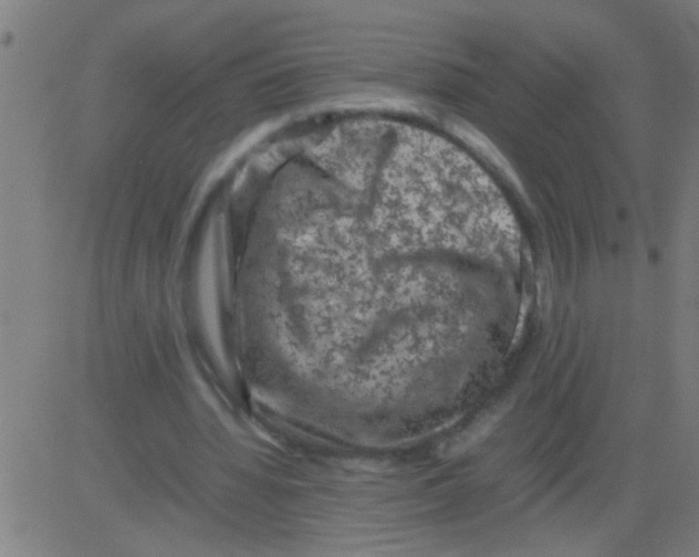 X0000081470436200702092344