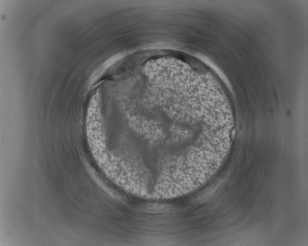 X0000081470437200702092344