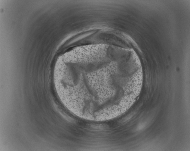 X0000081470439200702092344